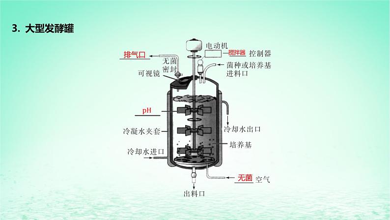 江苏专版2023_2024学年新教材高中生物第一章发酵工程第四节发酵工程及其应用课件苏教版选择性必修3第7页