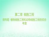 江苏专版2023_2024学年新教材高中生物第二章细胞工程微专题植物细胞工程和动物细胞工程的综合考查课件苏教版选择性必修3