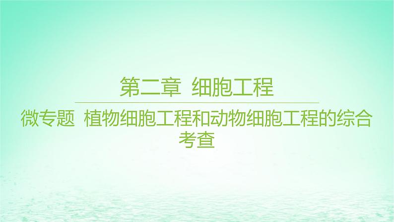 江苏专版2023_2024学年新教材高中生物第二章细胞工程微专题植物细胞工程和动物细胞工程的综合考查课件苏教版选择性必修3第1页