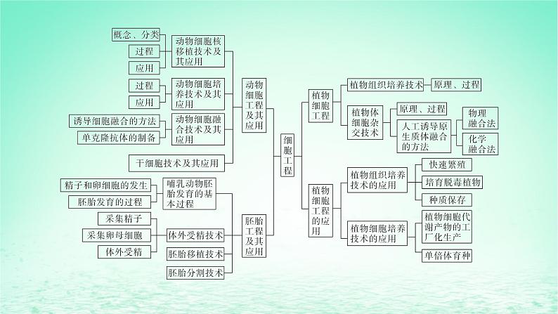 江苏专版2023_2024学年新教材高中生物第二章细胞工程本章知识网络课件苏教版选择性必修304