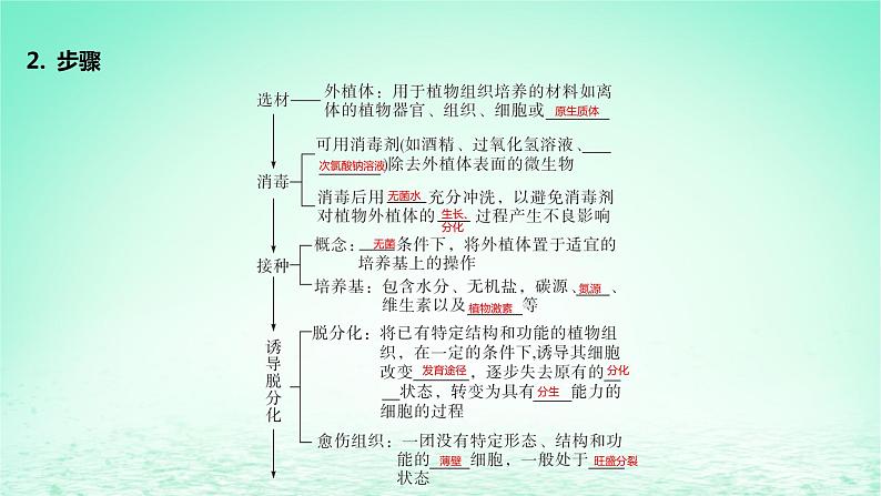 江苏专版2023_2024学年新教材高中生物第二章细胞工程第一节植物细胞工程课件苏教版选择性必修3第6页