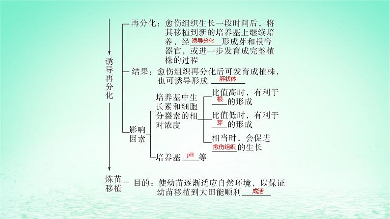 江苏专版2023_2024学年新教材高中生物第二章细胞工程第一节植物细胞工程课件苏教版选择性必修3第7页