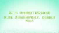 高中生物苏教版 (2019)选择性必修3 生物技术与工程第三节 动物细胞工程及其应用课前预习ppt课件