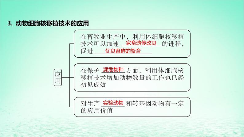 江苏专版2023_2024学年新教材高中生物第二章细胞工程第三节动物细胞工程及其应用第一课时动物细胞核移植技术动物细胞培养技术课件苏教版选择性必修3第8页