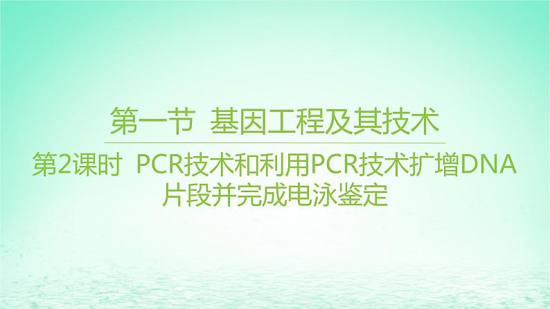 江苏专版2023_2024学年新教材高中生物第三章基因工程第一节基因工程及其技术第二课时PCR技术和利用PCR技术扩增DNA片段并完成电泳鉴定课件苏教版选择性必修301