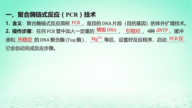 江苏专版2023_2024学年新教材高中生物第三章基因工程第一节基因工程及其技术第二课时PCR技术和利用PCR技术扩增DNA片段并完成电泳鉴定课件苏教版选择性必修305