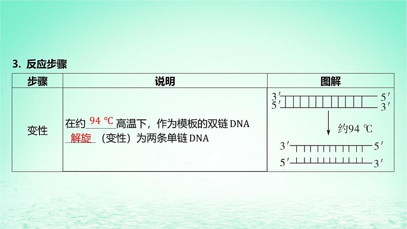 江苏专版2023_2024学年新教材高中生物第三章基因工程第一节基因工程及其技术第二课时PCR技术和利用PCR技术扩增DNA片段并完成电泳鉴定课件苏教版选择性必修306