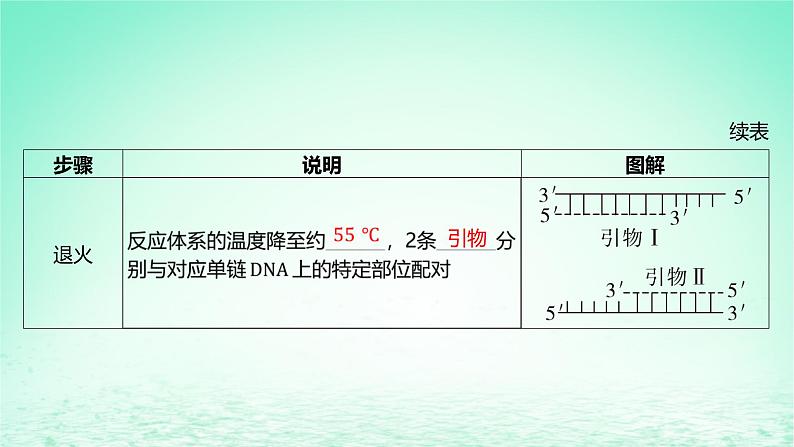 江苏专版2023_2024学年新教材高中生物第三章基因工程第一节基因工程及其技术第二课时PCR技术和利用PCR技术扩增DNA片段并完成电泳鉴定课件苏教版选择性必修307