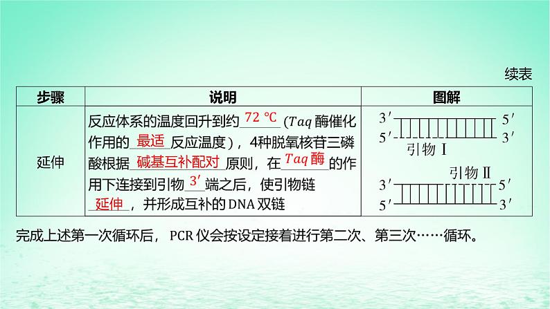 江苏专版2023_2024学年新教材高中生物第三章基因工程第一节基因工程及其技术第二课时PCR技术和利用PCR技术扩增DNA片段并完成电泳鉴定课件苏教版选择性必修308