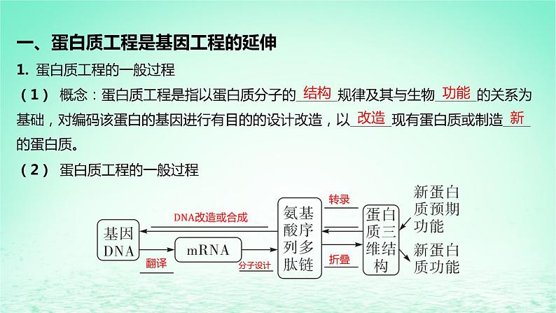 江苏专版2023_2024学年新教材高中生物第三章基因工程第三节蛋白质工程课件苏教版选择性必修305