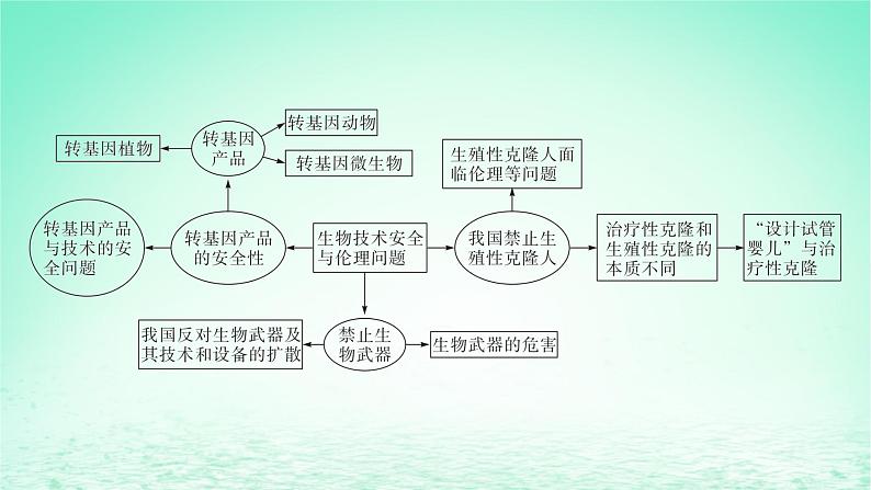 江苏专版2023_2024学年新教材高中生物第四章生物技术安全与伦理问题本章知识网络课件苏教版选择性必修3第4页