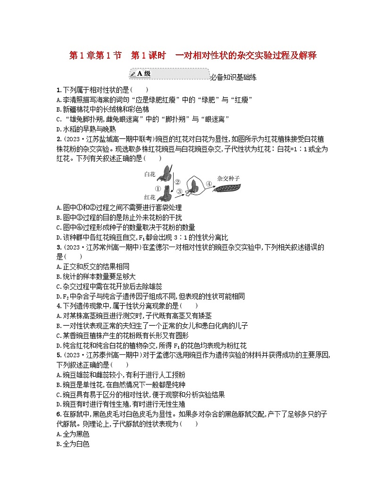 江苏专版2023_2024学年新教材高中生物第1章遗传因子的发现第1节孟德尔的豌豆杂交实验一第1课时一对相对性状的杂交实验过程及解释分层作业新人教版必修201