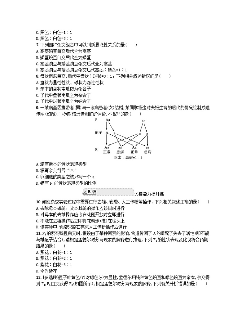 江苏专版2023_2024学年新教材高中生物第1章遗传因子的发现第1节孟德尔的豌豆杂交实验一第1课时一对相对性状的杂交实验过程及解释分层作业新人教版必修202