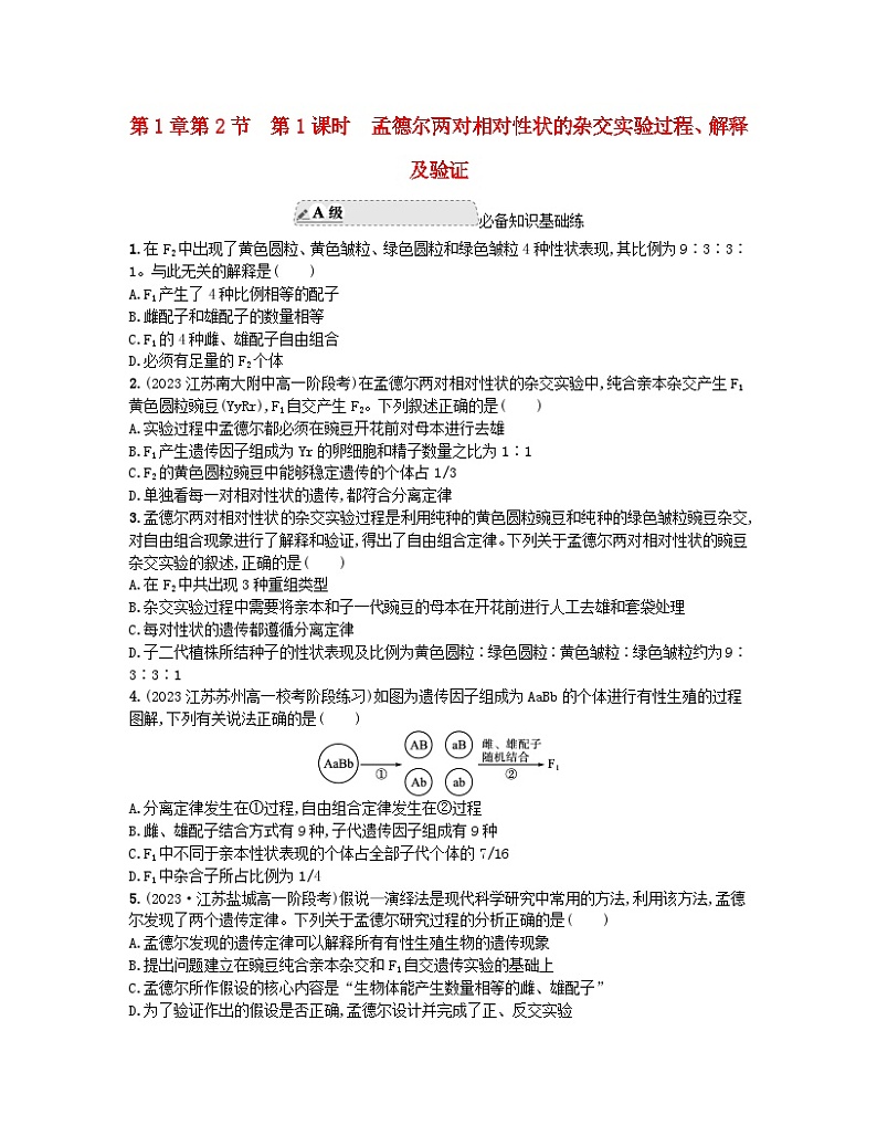 江苏专版2023_2024学年新教材高中生物第1章遗传因子的发现第2节孟德尔的豌豆杂交实验二第1课时孟德尔两对相对性状的杂交实验过程解释及验证分层作业新人教版必修2 (1)第1页