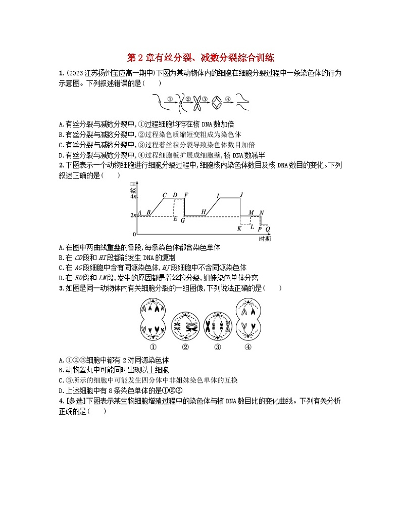 江苏专版2023_2024学年新教材高中生物第2章基因和染色体的关系有丝分裂减数分裂综合训练新人教版必修2第1页