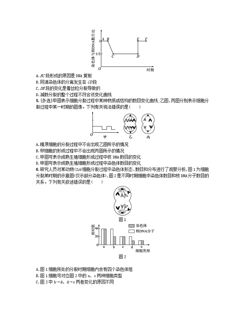 江苏专版2023_2024学年新教材高中生物第2章基因和染色体的关系有丝分裂减数分裂综合训练新人教版必修2第2页
