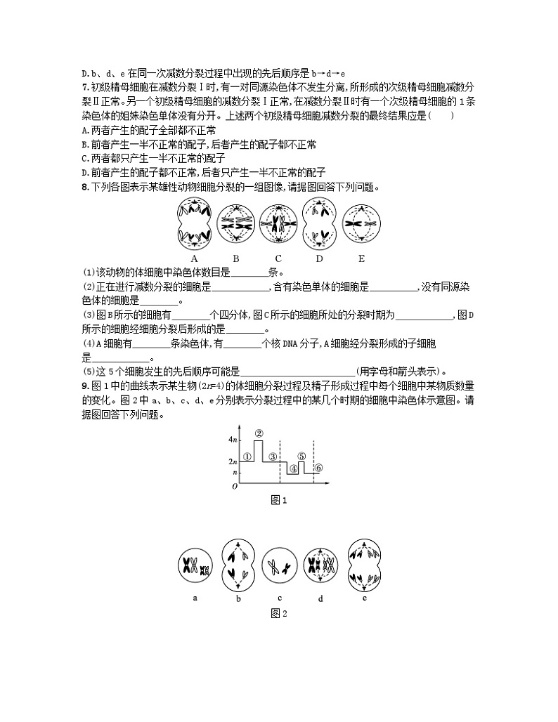 江苏专版2023_2024学年新教材高中生物第2章基因和染色体的关系有丝分裂减数分裂综合训练新人教版必修2第3页