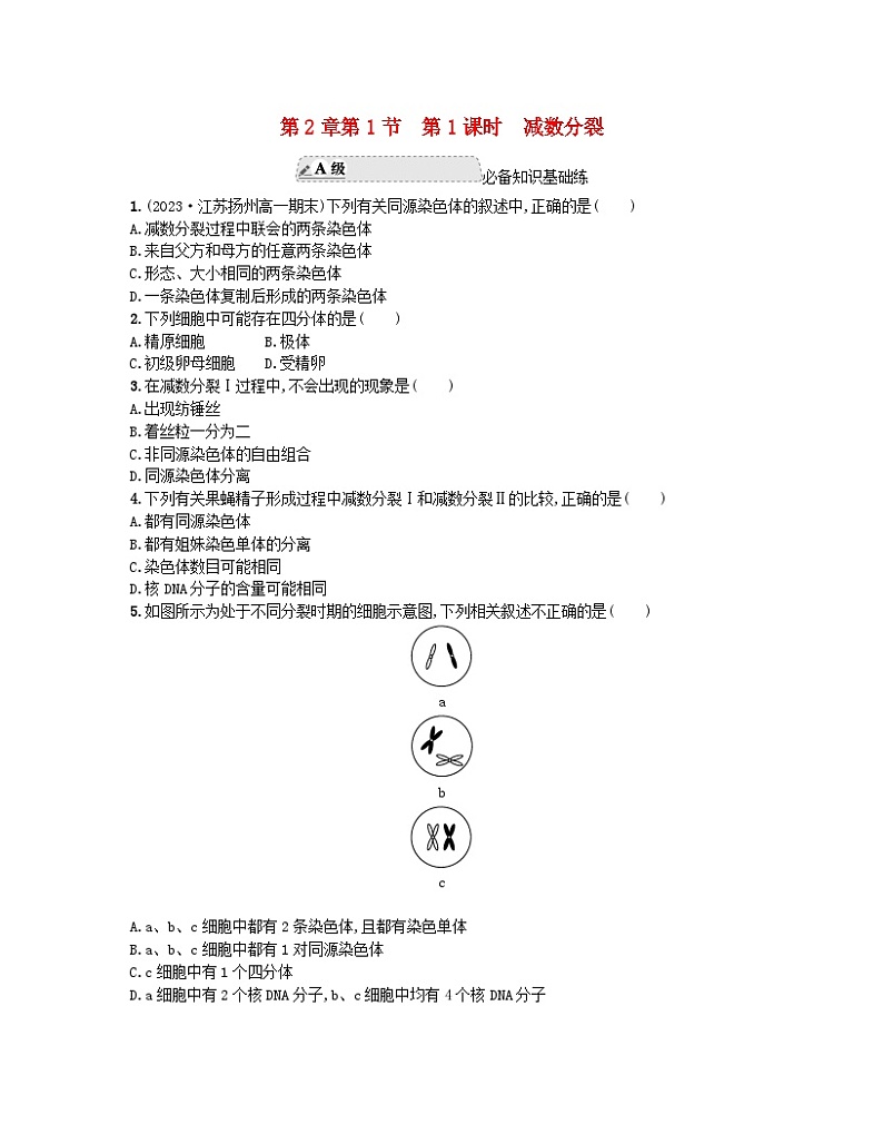 江苏专版2023_2024学年新教材高中生物第2章基因和染色体的关系第1节减数分裂和受精作用第1课时减数分裂分层作业新人教版必修2第1页
