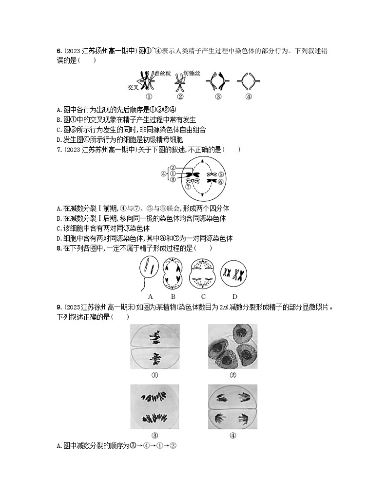 江苏专版2023_2024学年新教材高中生物第2章基因和染色体的关系第1节减数分裂和受精作用第1课时减数分裂分层作业新人教版必修2第2页