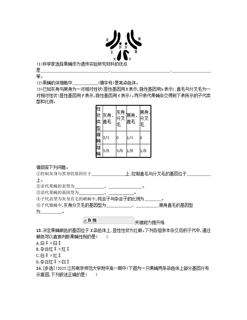 江苏专版2023_2024学年新教材高中生物第2章基因和染色体的关系第2节基因在染色体上分层作业新人教版必修2第3页