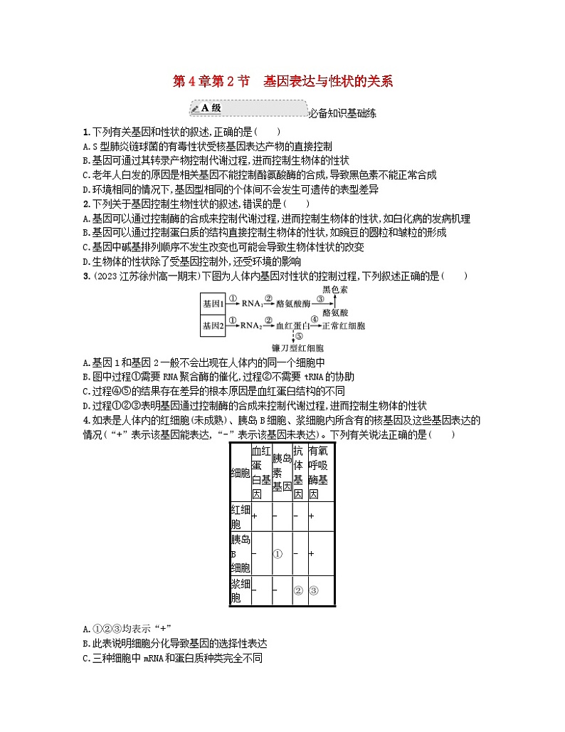 江苏专版2023_2024学年新教材高中生物第4章基因的表达第2节基因表达与性状的关系分层作业新人教版必修201