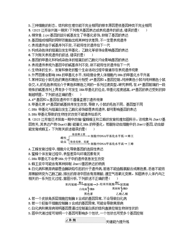 江苏专版2023_2024学年新教材高中生物第4章基因的表达第2节基因表达与性状的关系分层作业新人教版必修202