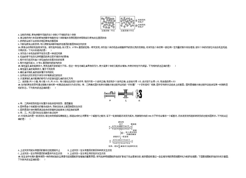 江苏专版2023_2024学年新教材高中生物第5章基因突变及其他变异第6章生物的进化测评卷新人教版必修203