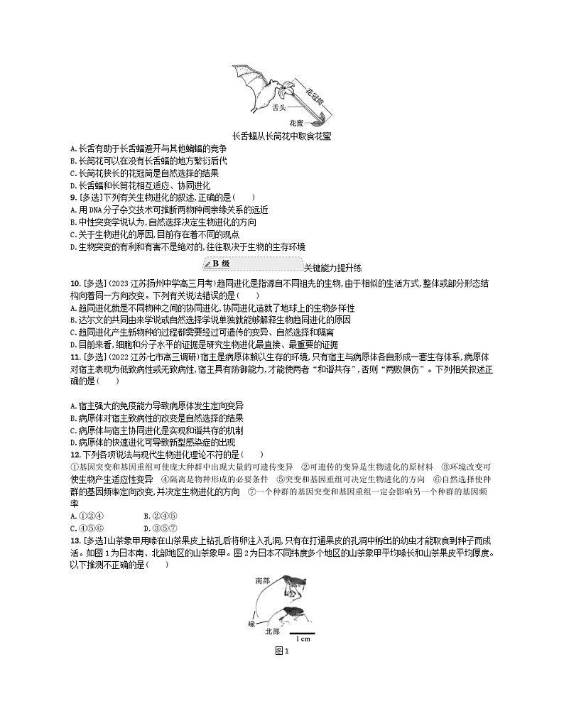 江苏专版2023_2024学年新教材高中生物第6章生物的进化第4节协同进化与生物多样性的形成分层作业新人教版必修202