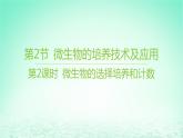 江苏专版2023_2024学年新教材高中生物第1章发酵工程第2节微生物的培养技术及应用第2课时微生物的选择培养和计数课件新人教版选择性必修3