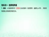 江苏专版2023_2024学年新教材高中生物第1章发酵工程第2节微生物的培养技术及应用第2课时微生物的选择培养和计数课件新人教版选择性必修3