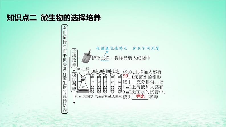 江苏专版2023_2024学年新教材高中生物第1章发酵工程第2节微生物的培养技术及应用第2课时微生物的选择培养和计数课件新人教版选择性必修3第7页