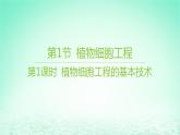 江苏专版2023_2024学年新教材高中生物第2章细胞工程第1节植物细胞工程第1课时植物细胞工程的基本技术课件新人教版选择性必修3