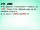 江苏专版2023_2024学年新教材高中生物第2章细胞工程第1节植物细胞工程第1课时植物细胞工程的基本技术课件新人教版选择性必修3