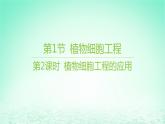 江苏专版2023_2024学年新教材高中生物第2章细胞工程第1节植物细胞工程第2课时植物细胞工程的应用课件新人教版选择性必修3