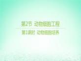 江苏专版2023_2024学年新教材高中生物第2章细胞工程第2节动物细胞工程第1课时动物细胞培养课件新人教版选择性必修3
