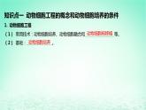 江苏专版2023_2024学年新教材高中生物第2章细胞工程第2节动物细胞工程第1课时动物细胞培养课件新人教版选择性必修3