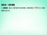 江苏专版2023_2024学年新教材高中生物第2章细胞工程第3节胚胎工程第2课时胚胎工程技术及其应用课件新人教版选择性必修3