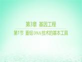 江苏专版2023_2024学年新教材高中生物第3章基因工程第1节重组DNA技术的基本工具课件新人教版选择性必修3