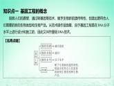 江苏专版2023_2024学年新教材高中生物第3章基因工程第1节重组DNA技术的基本工具课件新人教版选择性必修3
