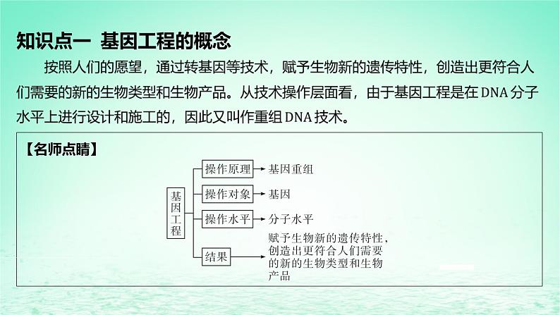 江苏专版2023_2024学年新教材高中生物第3章基因工程第1节重组DNA技术的基本工具课件新人教版选择性必修305