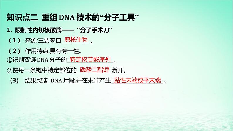 江苏专版2023_2024学年新教材高中生物第3章基因工程第1节重组DNA技术的基本工具课件新人教版选择性必修306