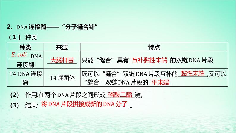 江苏专版2023_2024学年新教材高中生物第3章基因工程第1节重组DNA技术的基本工具课件新人教版选择性必修308