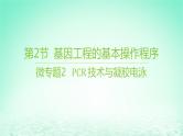 江苏专版2023_2024学年新教材高中生物第3章基因工程第2节基因工程的基本操作程序微专题2PCR技术与凝胶电泳课件新人教版选择性必修3