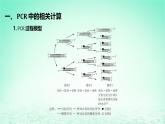 江苏专版2023_2024学年新教材高中生物第3章基因工程第2节基因工程的基本操作程序微专题2PCR技术与凝胶电泳课件新人教版选择性必修3