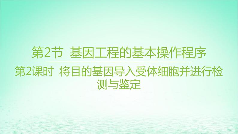 江苏专版2023_2024学年新教材高中生物第3章基因工程第2节基因工程的基本操作程序第2课时将目的基因导入受体细胞并进行检测与鉴定课件新人教版选择性必修301