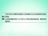 江苏专版2023_2024学年新教材高中生物第3章基因工程第2节基因工程的基本操作程序第2课时将目的基因导入受体细胞并进行检测与鉴定课件新人教版选择性必修3