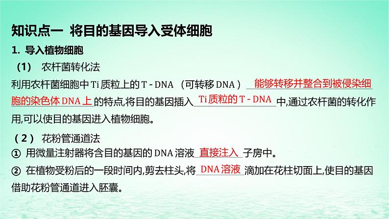 江苏专版2023_2024学年新教材高中生物第3章基因工程第2节基因工程的基本操作程序第2课时将目的基因导入受体细胞并进行检测与鉴定课件新人教版选择性必修305