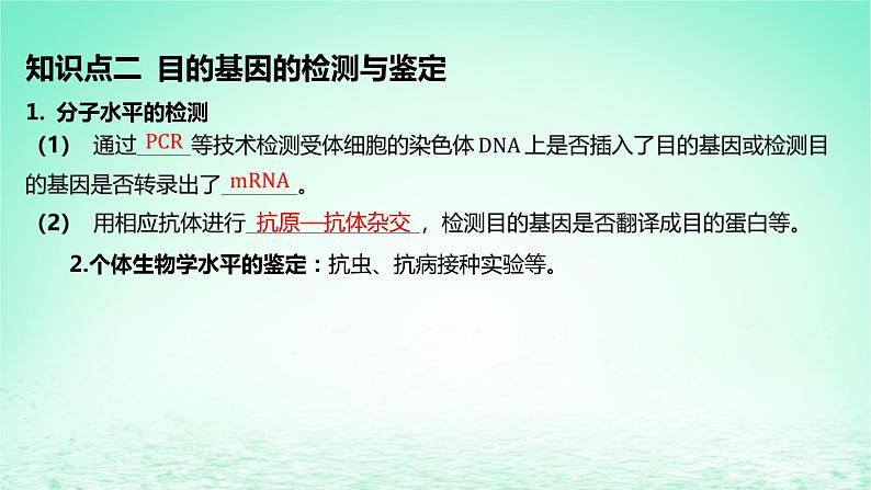 江苏专版2023_2024学年新教材高中生物第3章基因工程第2节基因工程的基本操作程序第2课时将目的基因导入受体细胞并进行检测与鉴定课件新人教版选择性必修307