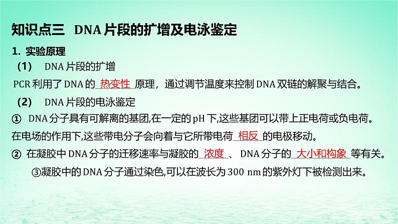江苏专版2023_2024学年新教材高中生物第3章基因工程第2节基因工程的基本操作程序第2课时将目的基因导入受体细胞并进行检测与鉴定课件新人教版选择性必修308