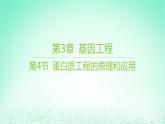 江苏专版2023_2024学年新教材高中生物第3章基因工程第4节蛋白质工程的原理和应用课件新人教版选择性必修3